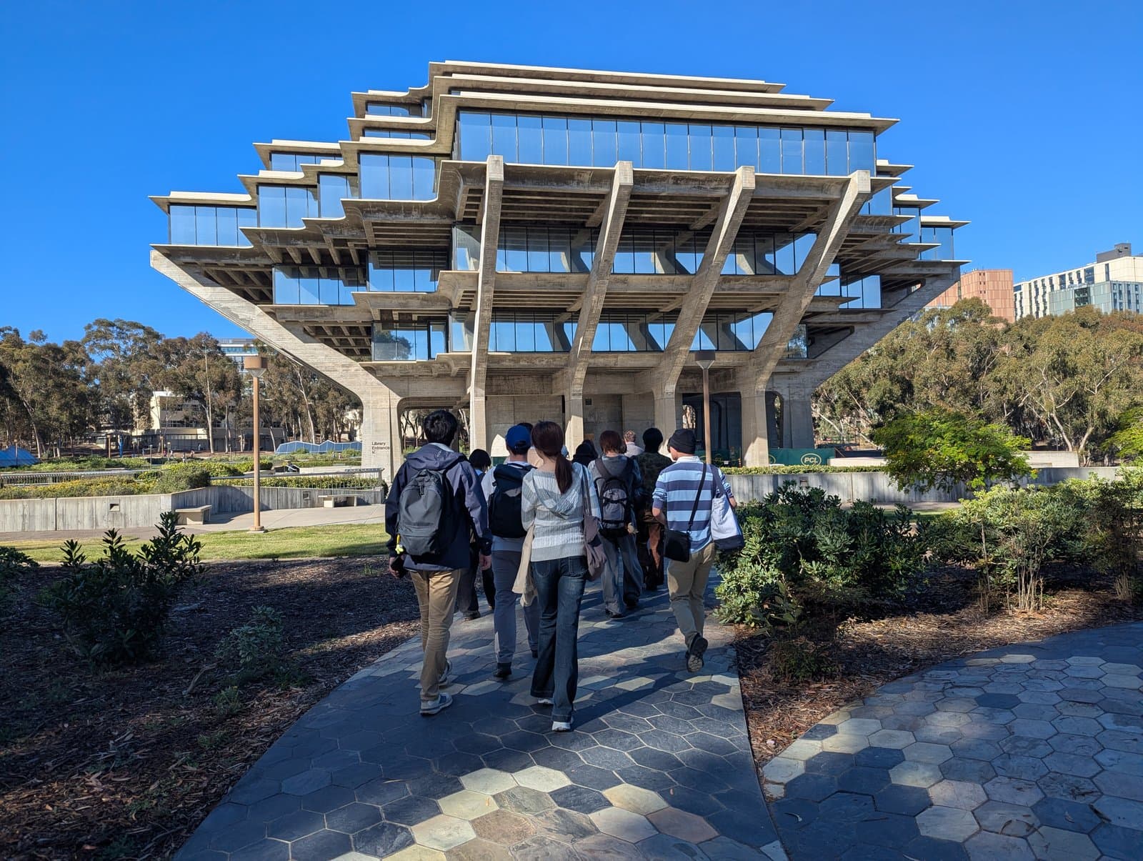 Participants walking across the UC San Diego campus toward Geisel Library